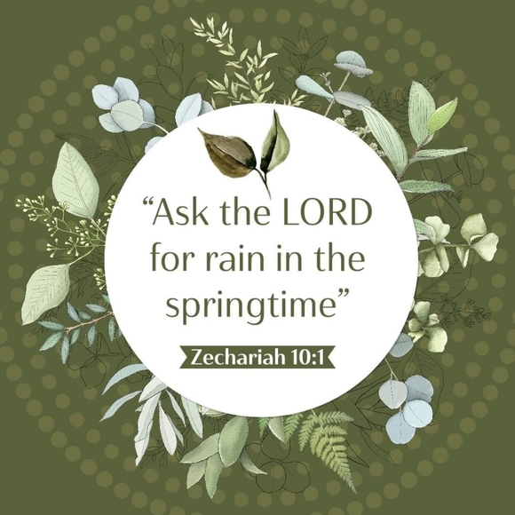 🆕️Fashion Nova welcome to the jungle romper - Picture 6 of 6